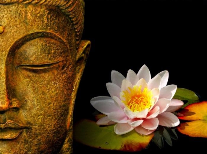 Có người hỏi Đức Phật: 'Làm sao sống thanh thản, vứt bỏ mọi buồn lo?' Và câu trả lời chỉ có 2 từ - Ảnh 3